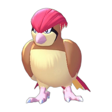 Pidgeotto