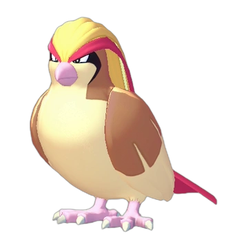Pidgeot