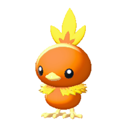 Torchic