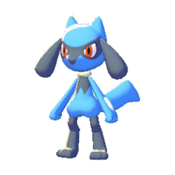 Riolu